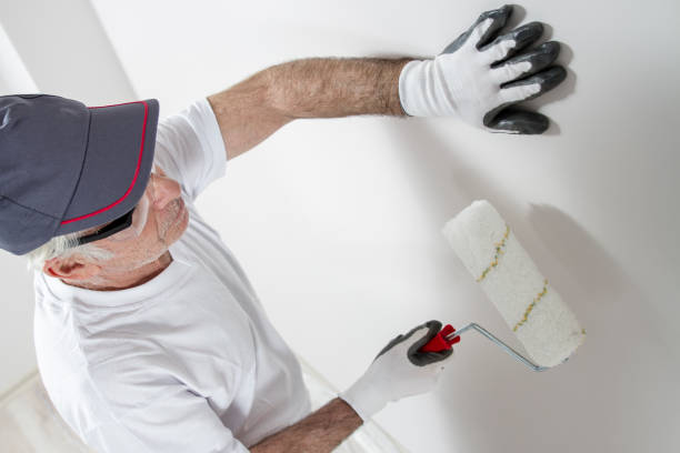 Mold Odor Removal Services in Minorca, LA