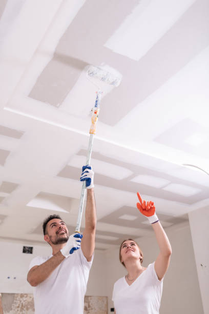 Minorca, LA Mold Removal Company